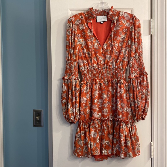 Alexis Floral Print Mini Dress - Picture 2 of 5